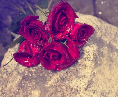 taş üzerinde kırmızı gül 