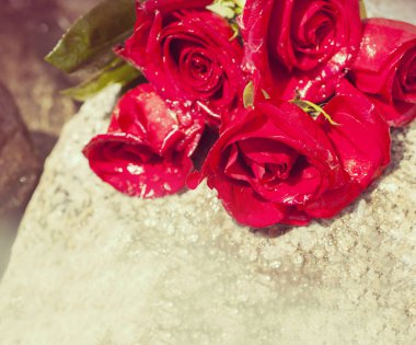 taş üzerinde kırmızı gül 