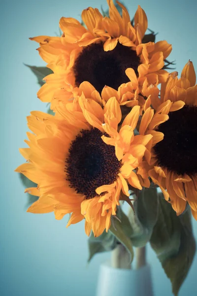 Seramik vazo içinde güzel sarı ayçiçeği