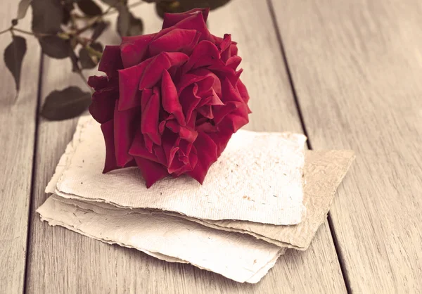 Red Rose on book
