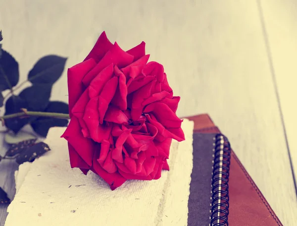Red Rose on book