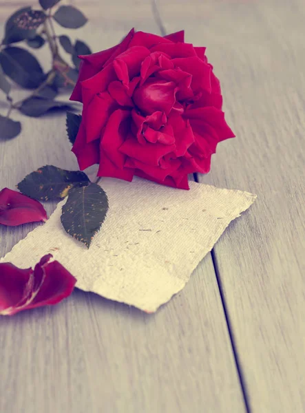 Red Rose on book