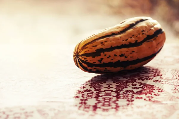 Primer Plano Calabaza Delicata Sobre Azulejos Mexicanos — Foto de Stock