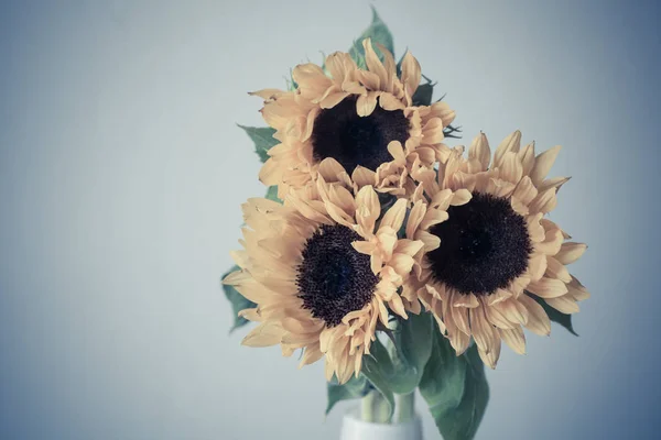 Krásná žlutá slunečnice v keramická váza — Stock fotografie