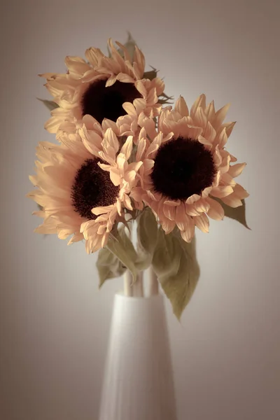 陶製の花瓶で美しい黄色のヒマワリ — ストック写真