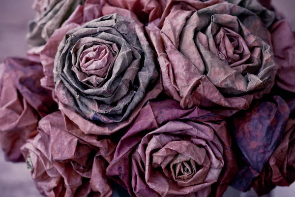 乾いた紙のバラ — ストック写真