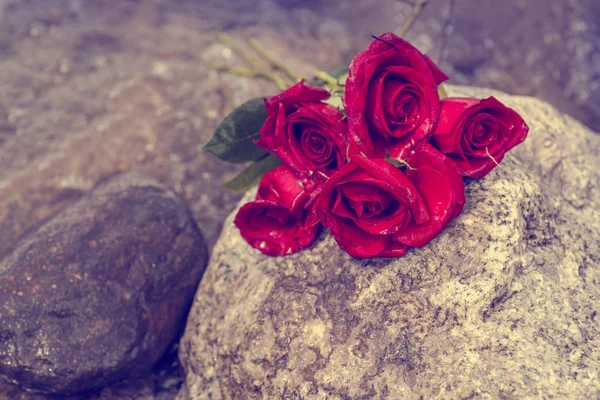 Красные розы на камне — стоковое фото