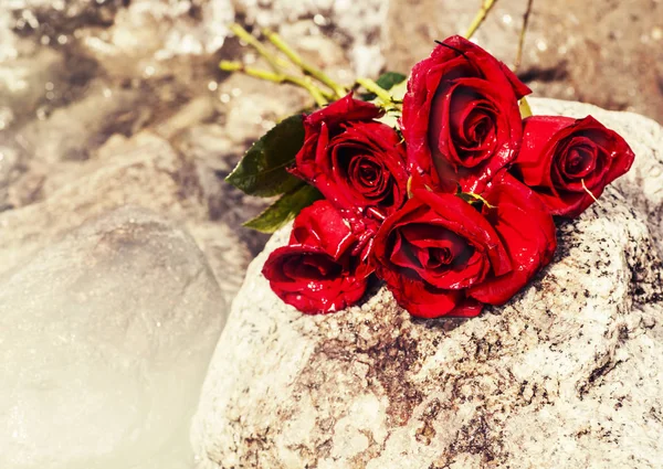 Rose rosse su pietra — Foto Stock