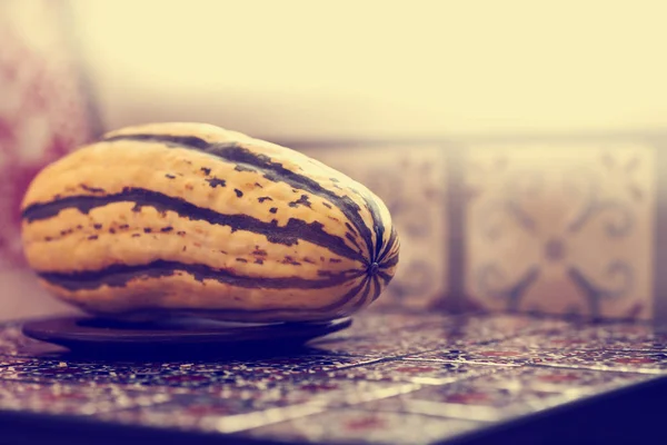 Close Van Delicata Squash Mexicaanse Tegels — Stockfoto