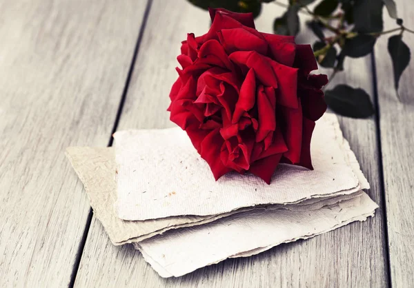 Red Rose on book