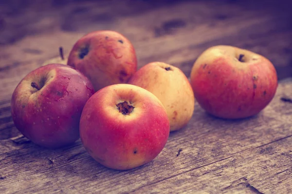 Manzanas maduras crudas — Foto de Stock