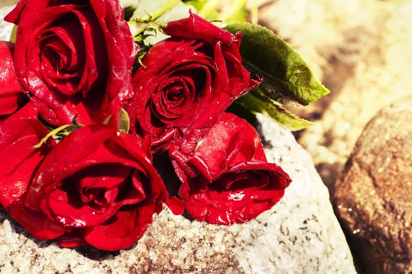 Röda rosor på sten — Stockfoto