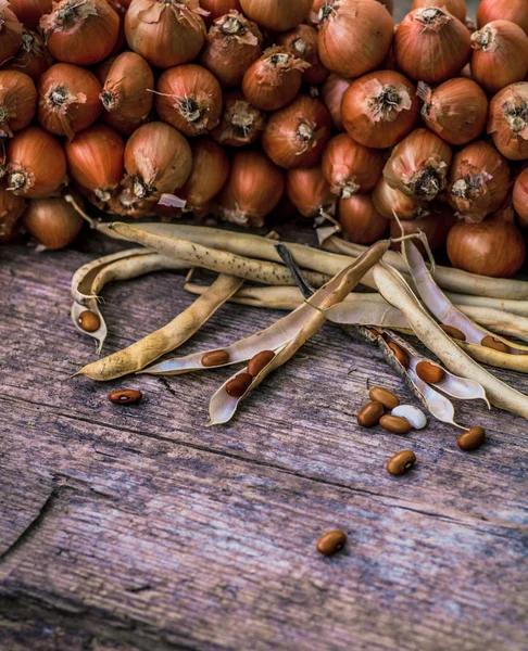 Dry red beans out of pods — Stock Photo, Image