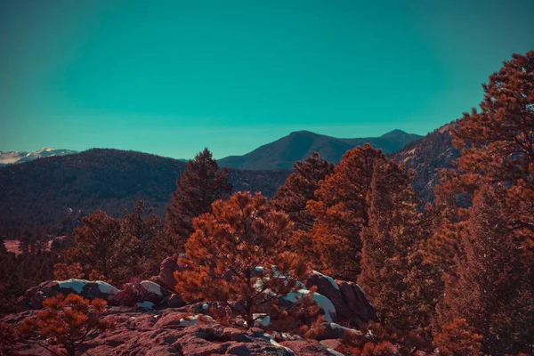 Krásný Les Který Pokrývá Hory Modrou Oblohou Pozadí — Stock fotografie