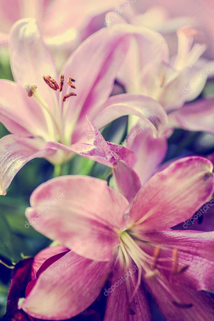 artnature