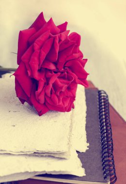 Red Rose on book