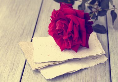 Red Rose on book