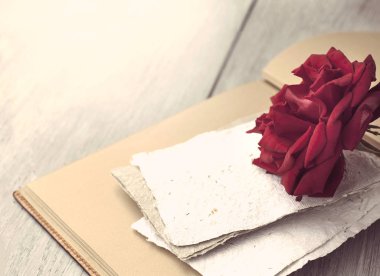 Red Rose on book