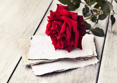 Red Rose on book