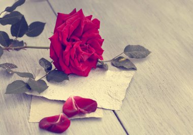 Red Rose on book