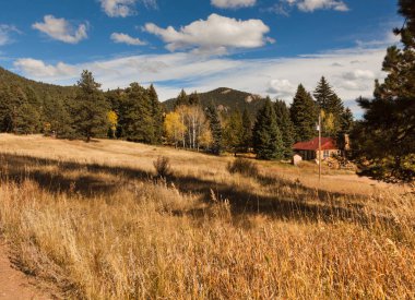 güzel sonbahar orman
