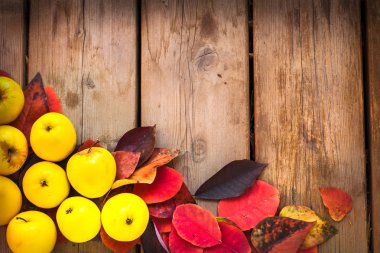 elma ile sonbahar yaprakları 