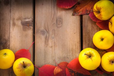 elma ile sonbahar yaprakları 