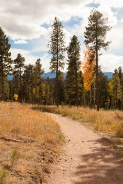 dağlar ve sarı dönüm kavak ağaçları