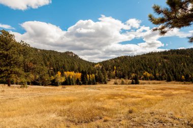 dağlar ve sarı dönüm kavak ağaçları