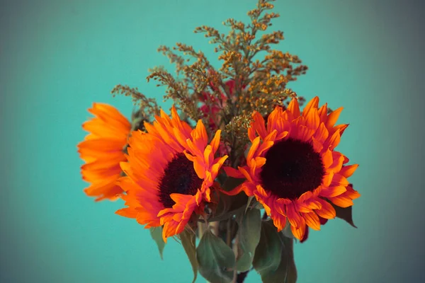 オレンジ色のヒマワリの花束 — ストック写真