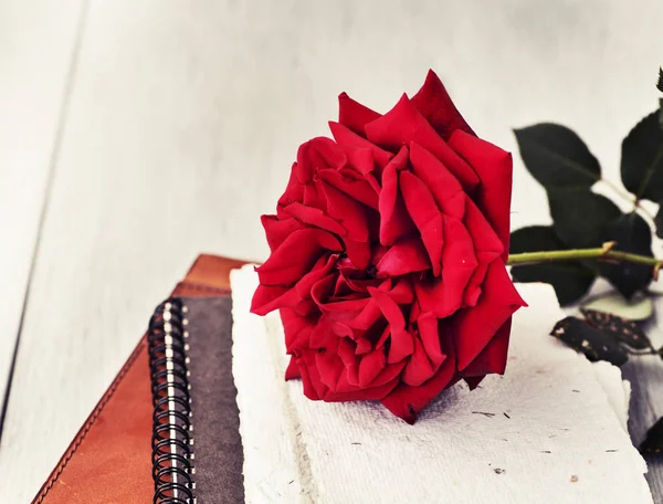 Red Rose on book — Stockfoto