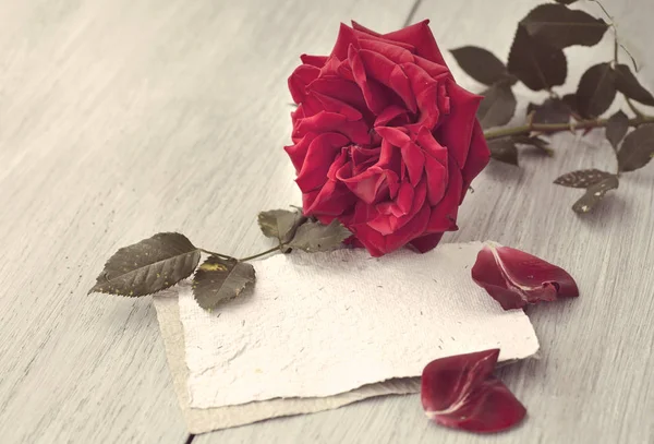 Rosa roja en el libro — Foto de Stock