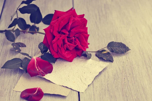 Rose rouge sur le livre — Photo