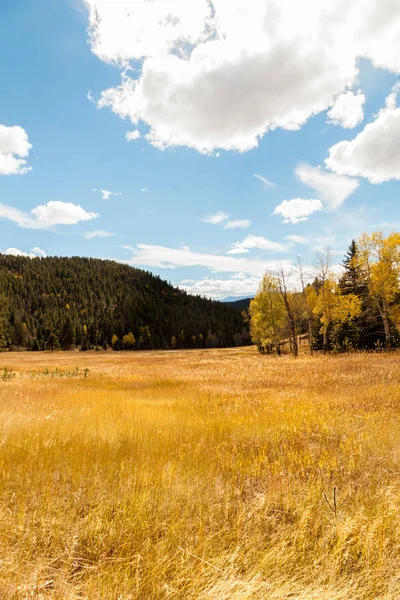 Herbstlandschaft mit Espen — Stockfoto