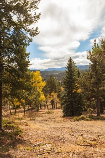 Herbstlandschaft mit Espen — Stockfoto