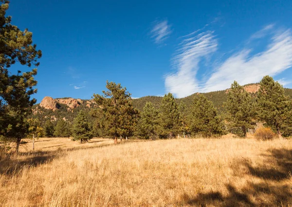 güzel sonbahar orman