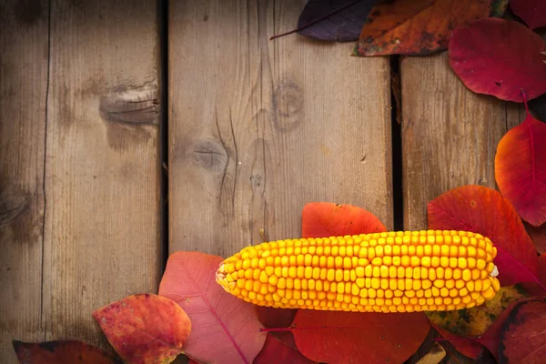 Feuilles rouges d'automne avec épi de maïs — Photo