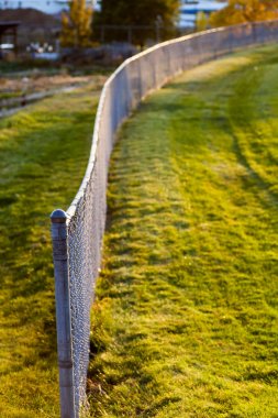 Yaz taze yeşil ot, metal çit yakın çekim