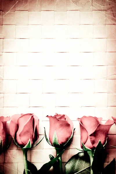 Primer plano de las flores color de rosa — Zdjęcie stockowe