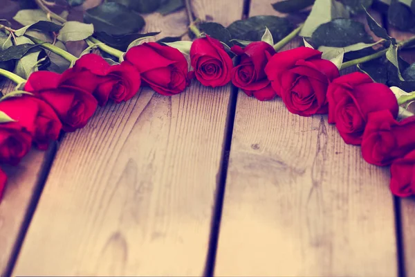 Mooie rozenbloemen — Stockfoto
