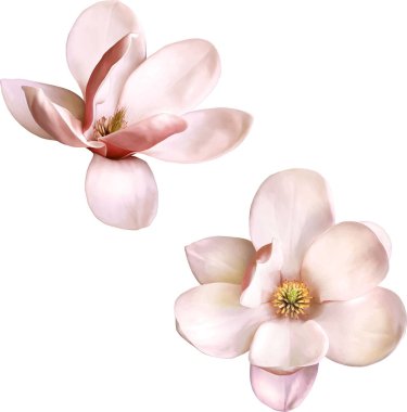 güzel çiçek çizimi