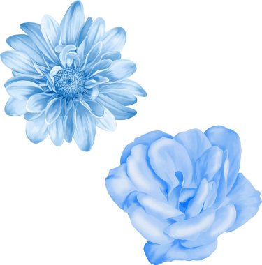 Güzel bahar çiçekleri