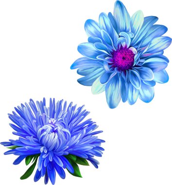 Güzel bahar çiçekleri