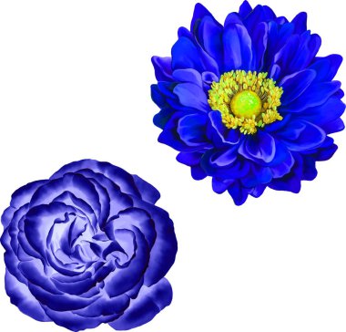 Güzel bahar çiçekleri