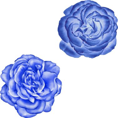 Güzel bahar çiçekleri