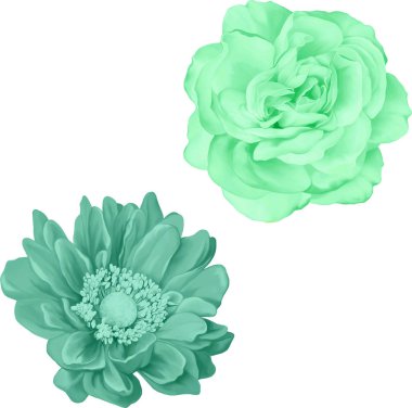 Güzel bahar çiçekleri