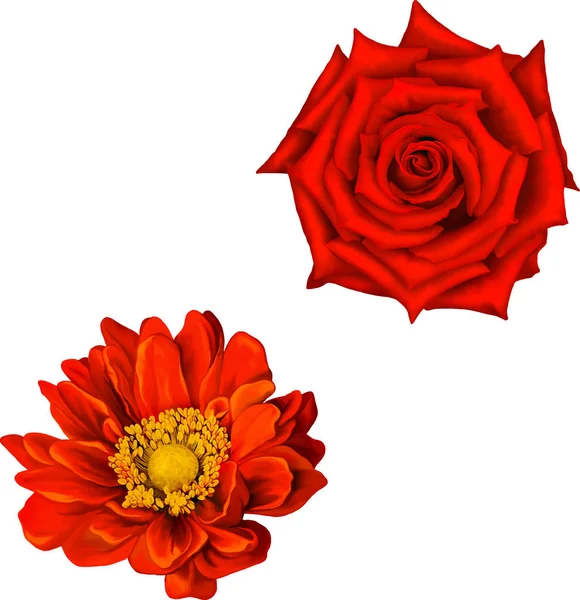 Illustration von schönen Blumen — Stockfoto