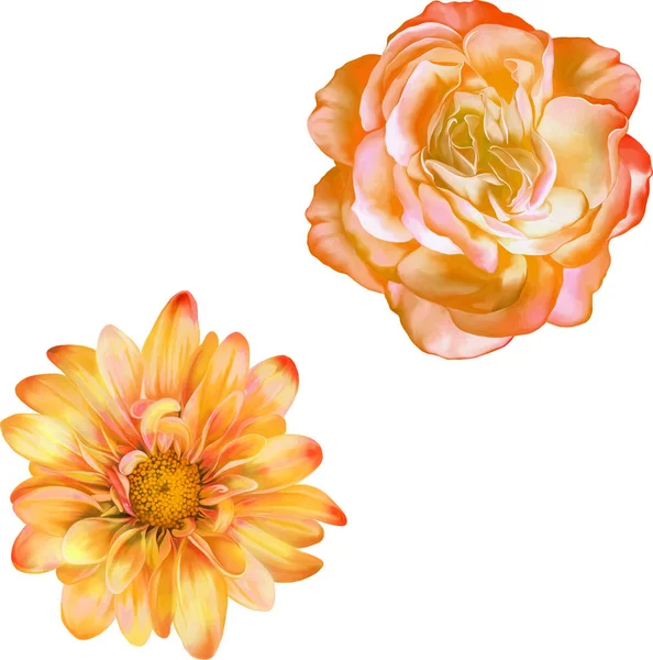 Illustratie van mooie bloemen — Stockfoto