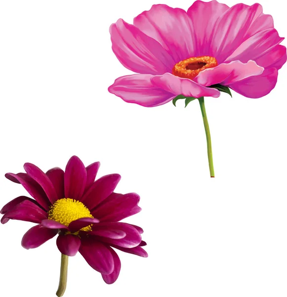 Ilustración de hermosas flores —  Fotos de Stock