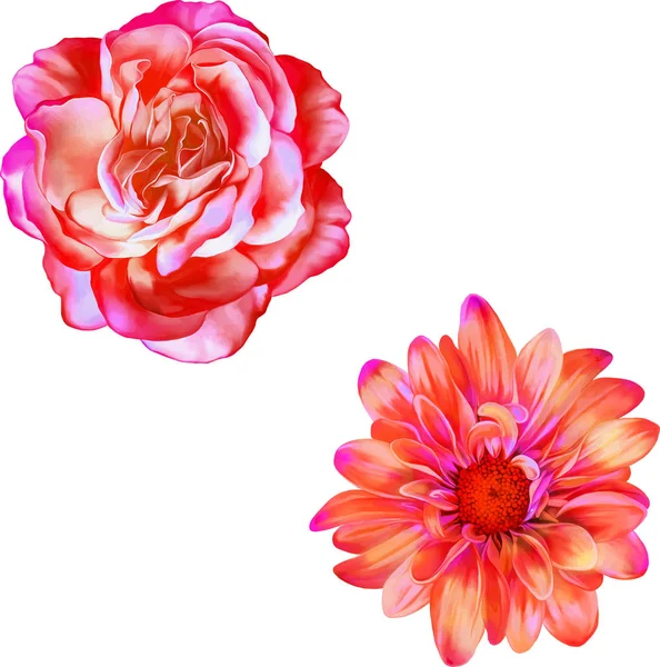 Ilustração de belas flores — Fotografia de Stock